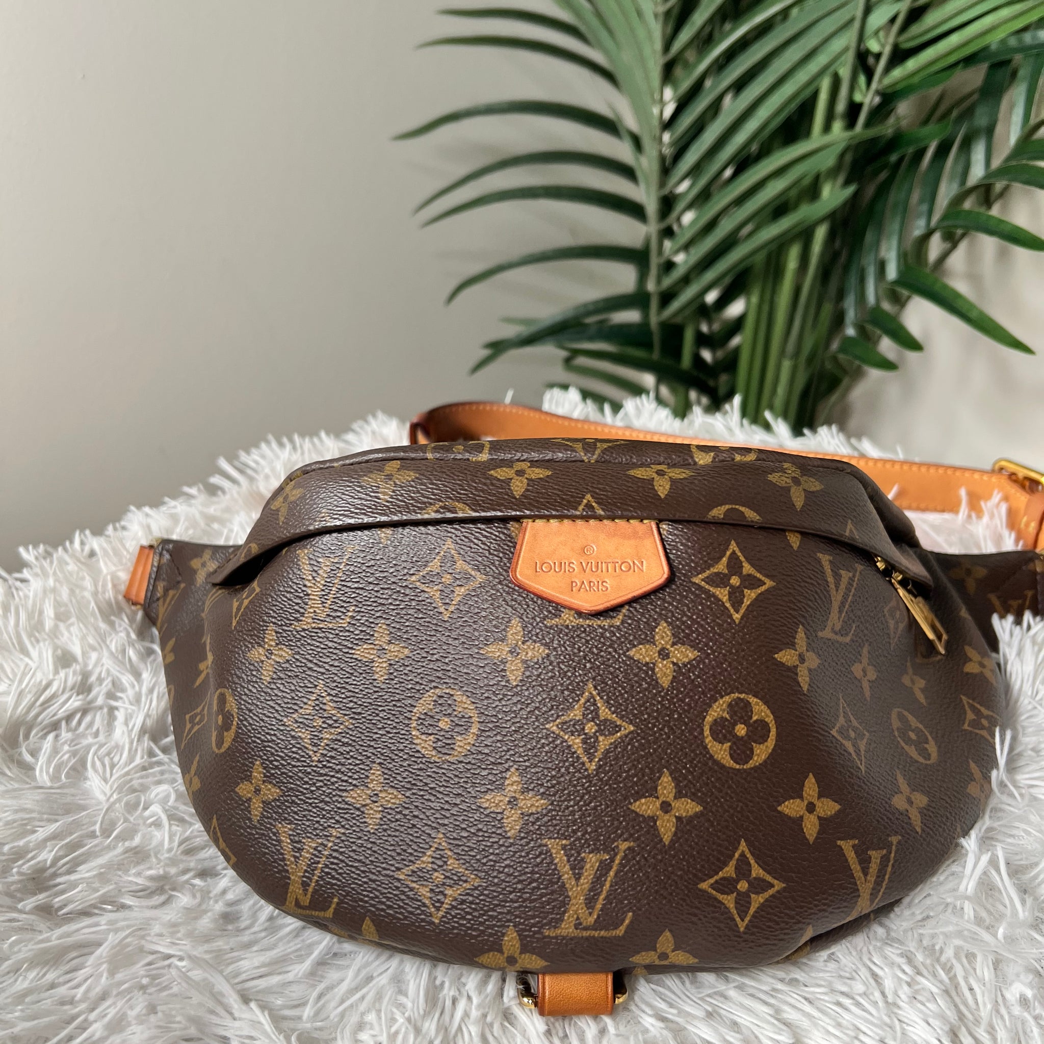 Louis Vuitton Bumbag